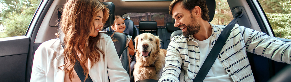 Texas Auto Owners With Auto Insurance Coverage